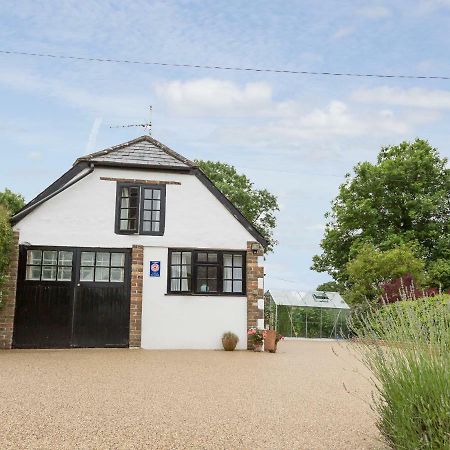 Little England Cottage Milborne Saint Andrew Exterior foto